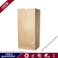 Moisture Proof Bio-Degradable Lawn and Leaf Paper Bags